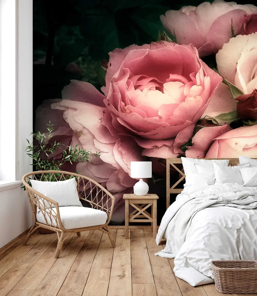 stenske poslikave Nežne rožnate pivonke u08062
