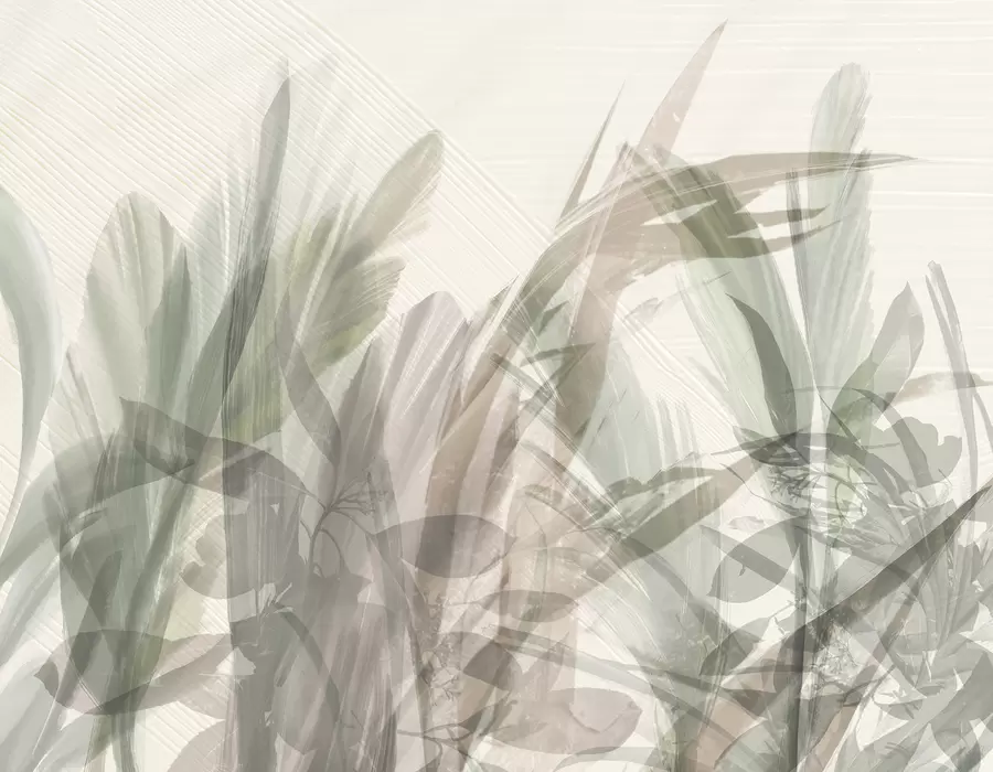 stenske poslikave Abstraktna večkompozicija zamegljenih oblik tropskih listov, podobnih travi, v odtenkih svetlo zelene in sive w00798