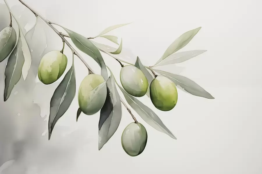 stenske poslikave Veja z zelenimi olivami mokri akvarel w02042