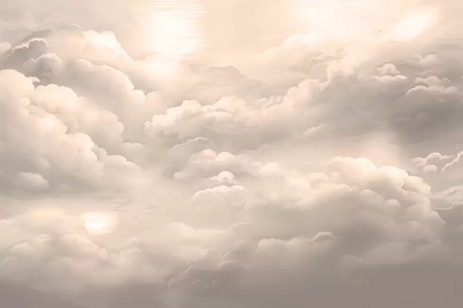 stenske poslikave Oblaki v barvi sepije w02189