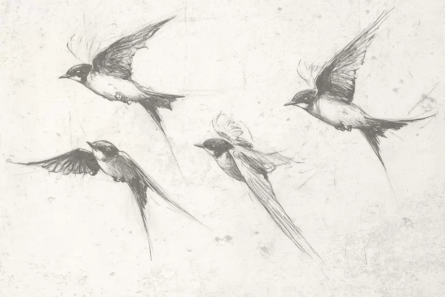 stenske poslikave Leteče ptice, risba s tušem, minimalizem, sive barve w02155