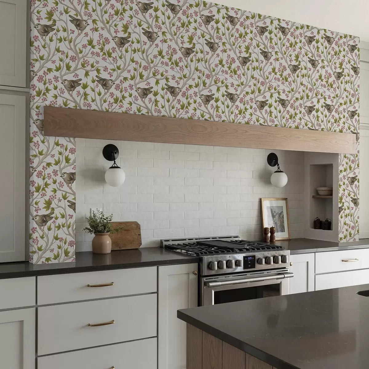 Ozadje Ptice na vejah z listi in jagodami na belem ozadju a00283