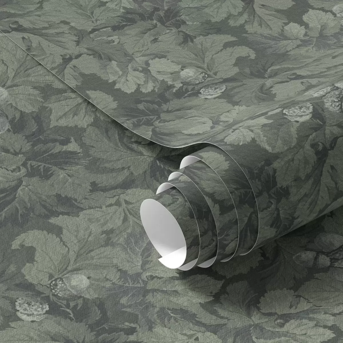 Ozadje Temna tekstura listov z želodi v temno zeleni barvi a00461