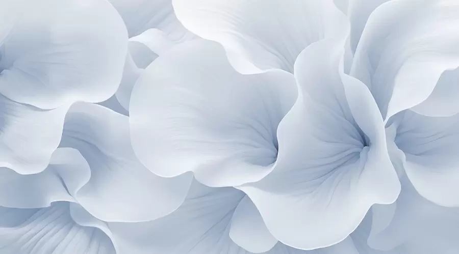 stenske poslikave Bližnji pregled cvetnih listov w04429v1