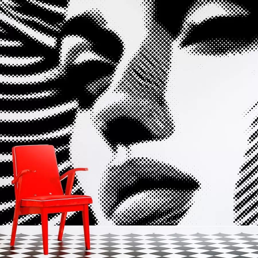stenske poslikave Pop art stil obraza ženske w04504