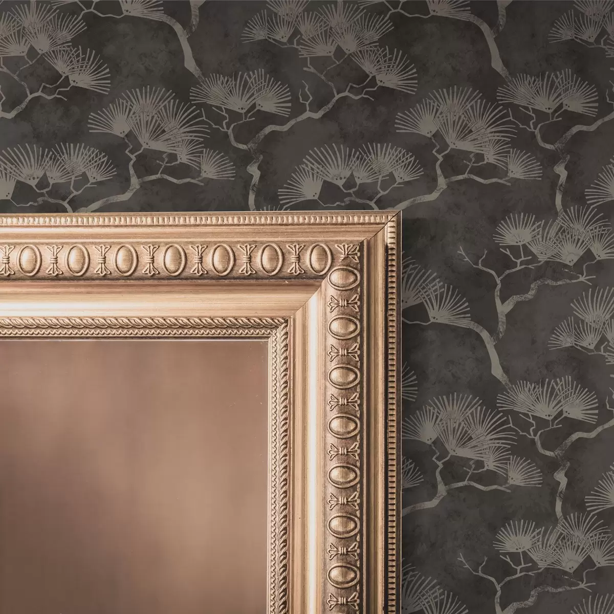 Ozadje Silhuete borovcev na temnem ozadju, meglena tekstura a00742 Ozadje Silhuete borovcev na temnem ozadju, meglena tekstura a00742