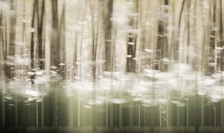 stenske poslikave Stilizirani debla dreves v pastelnih barvah w04844