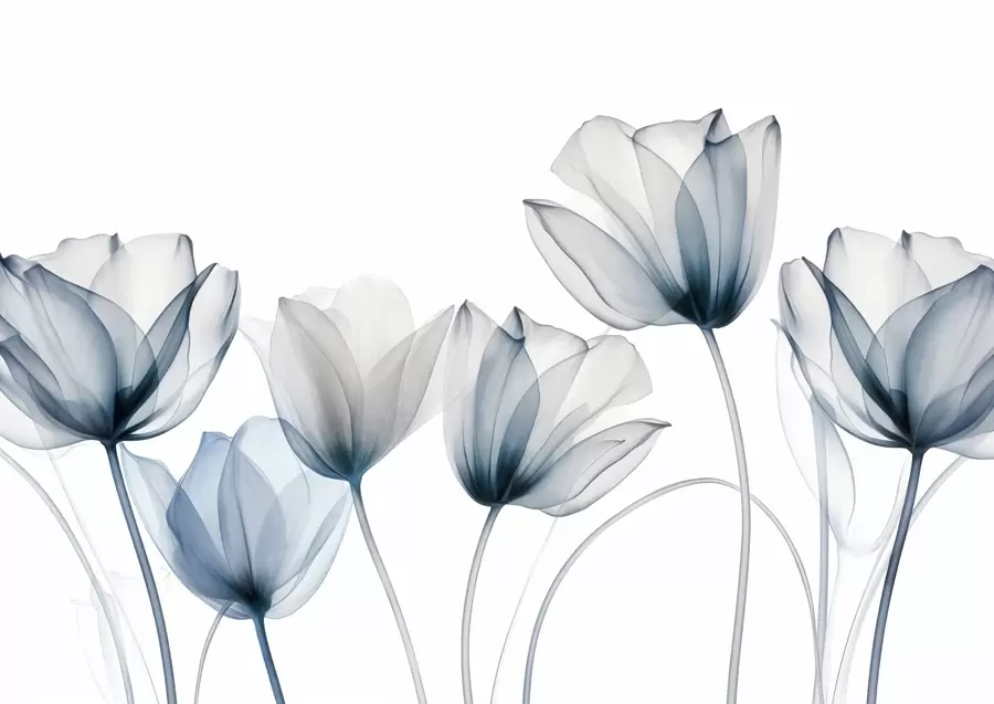 stenske poslikave Prosojne modre in bele tulipane z dolgimi stebli, na svetlem ozadju, nežna in teksturirana cvetlična umetnost w09538