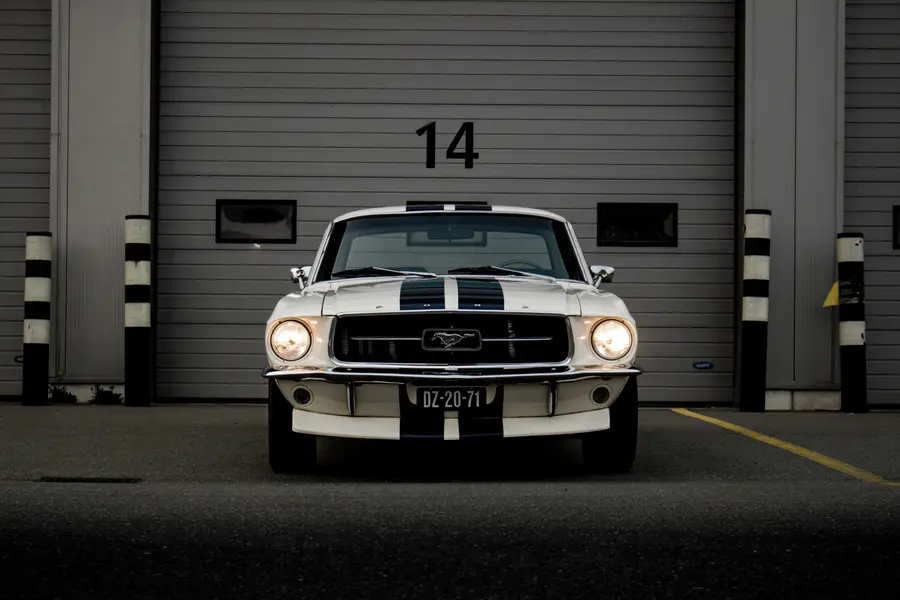 stenske poslikave 1970 Ford Mustang u95536