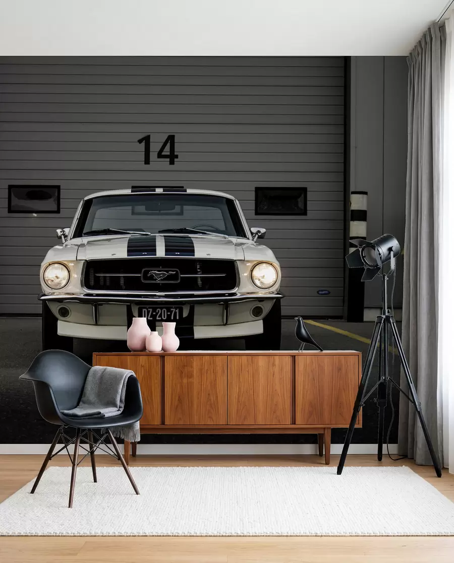 stenske poslikave 1970 Ford Mustang u95536