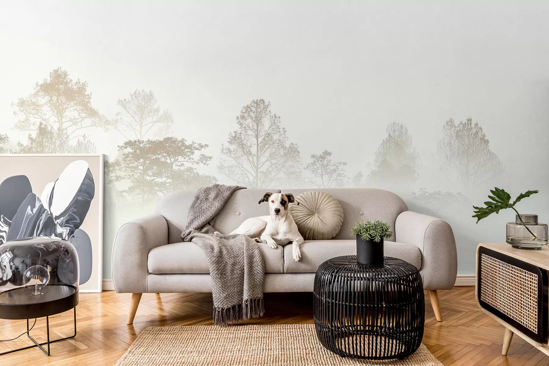 stenske poslikave Silhueta drevoreda v gosti beli jutranji megli u97405